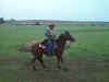 garys_horse_buffalo_waller2.jpg (45545 bytes)