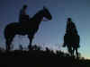 nightriders.jpg (30501 bytes)